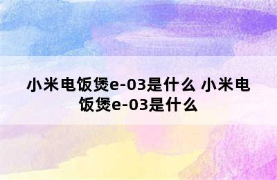 小米电饭煲e-03是什么 小米电饭煲e-03是什么